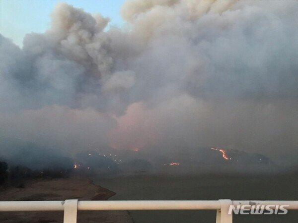 Andong, Gyeongsangbuk-do, spreads through strong winds…  Fire mobilization decree No. 1 issued