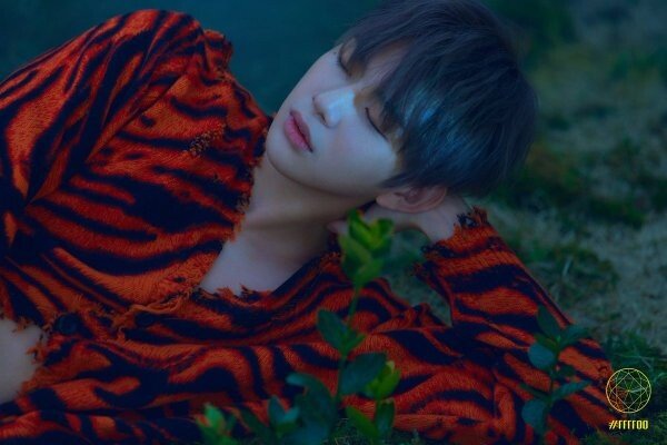 강다니엘 천만뷰, 'Antidote' MV 12시간 만에 돌파 공식 : 스포츠 ...