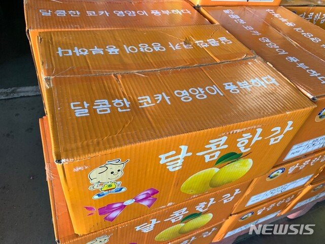 대놓고 '한국배' 적힌 중국산 과일, 동남아서 버젓이 팔려｜동아일보