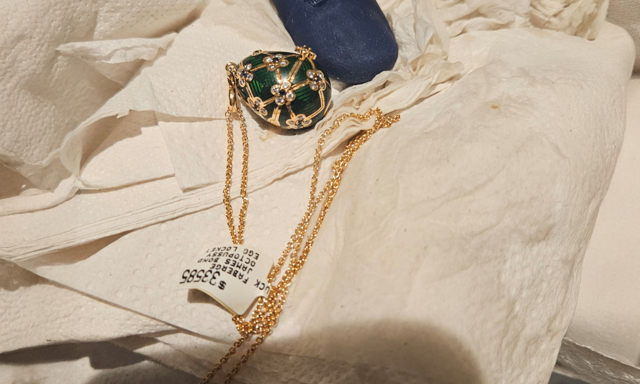 “화장실 갈 때마다 긴장”…3000만원 보석 삼킨 절도범 결국 6일만에