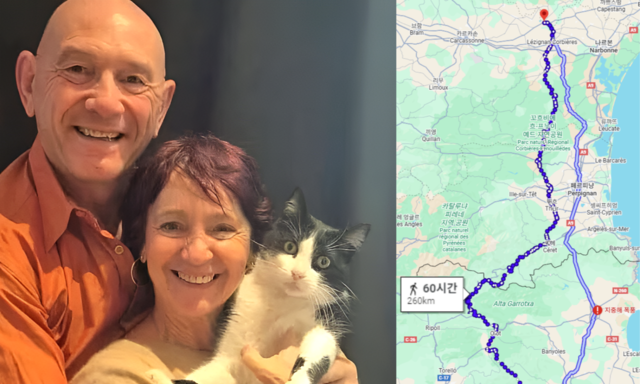 “주인 찾아 260km 국경 질주” 5개월 만에 고양이가 돌아와
