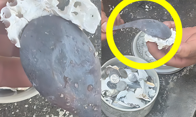 심장마비라더니, 숨진 병사 유골에 ‘숟가락’…‘가혹행위 의혹’ 태국 발칵