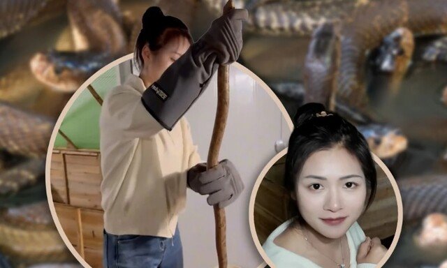 “연 2억원 번다”…독사 6만마리 키우는 30대 대졸 여성
