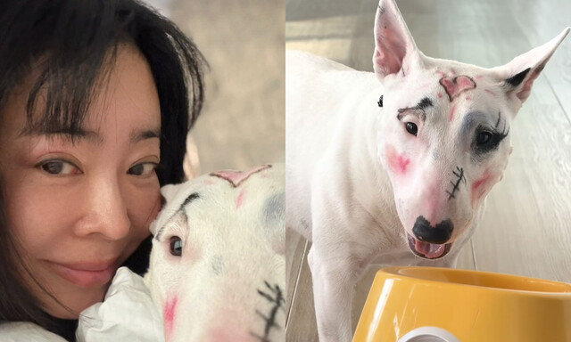이혜영, 반려견 얼굴에 화장…동물학대 논란 확산