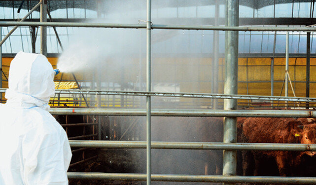 전북 정읍에서 한 가축방역관이 
방역 작업을 하는 모습. [뉴스1]