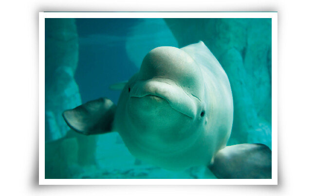 [GETTYIMAGES]