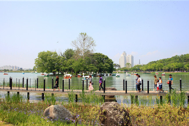 생태복원사업으로 산책로 등을 정비한 수성못.