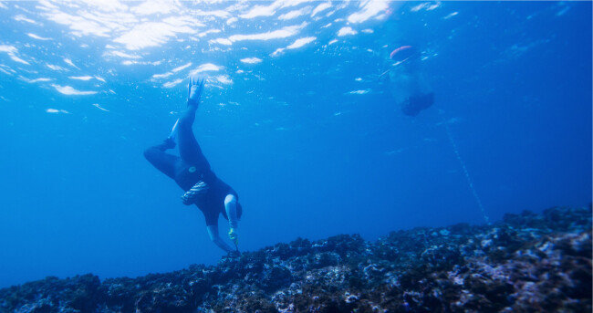 서귀포시 온평리(Seogwipo-si Onpyeong-ri), 2013_12