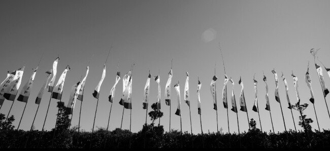 제주시 세화리, 해녀축제(Jeju-si Sehwa-ri, Haenyeo Festival) 2013_10