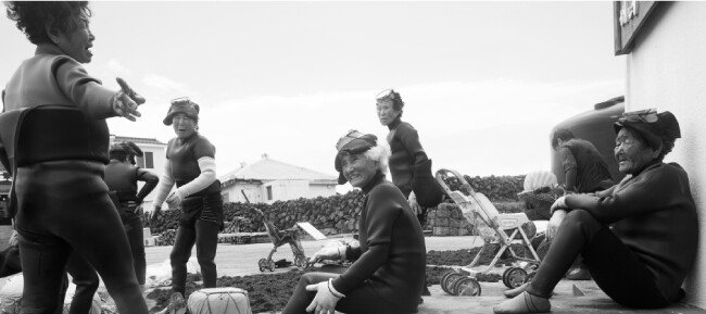 제주시 우도(Jeju-si Woo-do), 2013_05