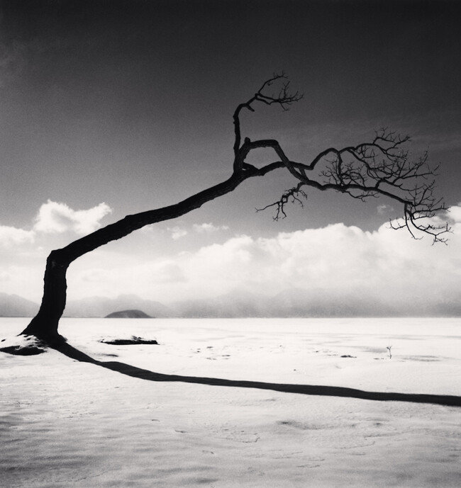 Kussharo Lake Tree, Study 10, Kotan, Hokkaido, Japan. 2005 ⓒ Michael Kenna 
