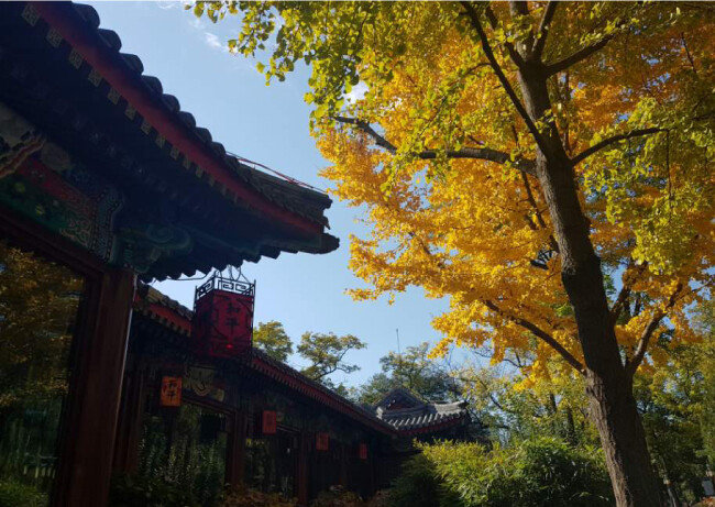 베이징 르탄 공원에서 본 푸른 하늘. [강민수]