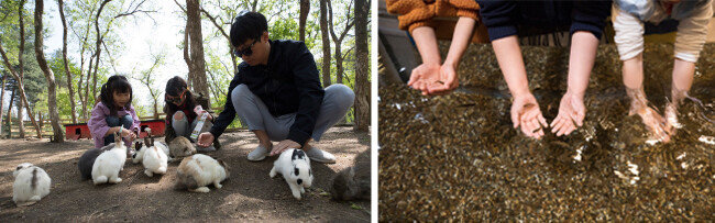 체험형 동물원에서는 토끼, 닥터피시(왼쪽부터) 등 다양한 동물과 교감할 수 있다. [지호영 기자]