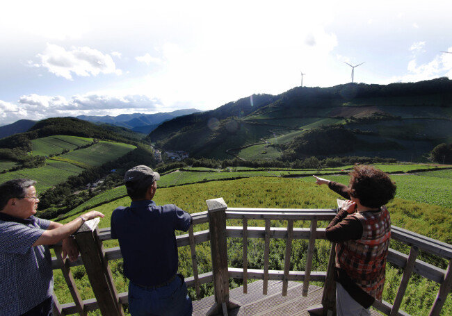 전망대에 서면 배추밭 너머로 탁 트인 마을 전경이 펼쳐진다.