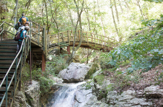 계곡을 끼고 조성된 등산로를 오르는 등산객.