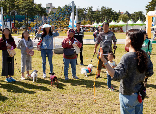 10월 3일 성남시청 앞 광장에서 ‘반려동물 페스티벌’이 열렸다. 올바른 산책교실 코너에서 ‘반려견과 함께하는 산책 매너’ 교육이 한창이다.