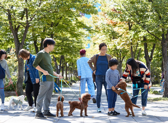 사람의 눈은 동물을, 동물의 눈은 사람을 향한다. 한 가족이 반려견과 잘 교감하기 위한 방법을 지도받고 있다.