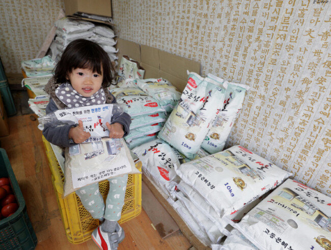 대룡시장의 오래된 시계방과 골목길, 밥맛 좋은 교동 간척지 쌀(위부터).