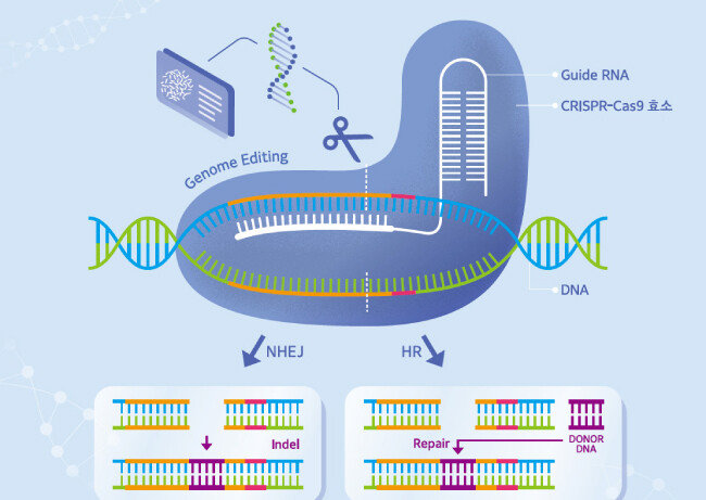 [사진 제공·고대의료원]