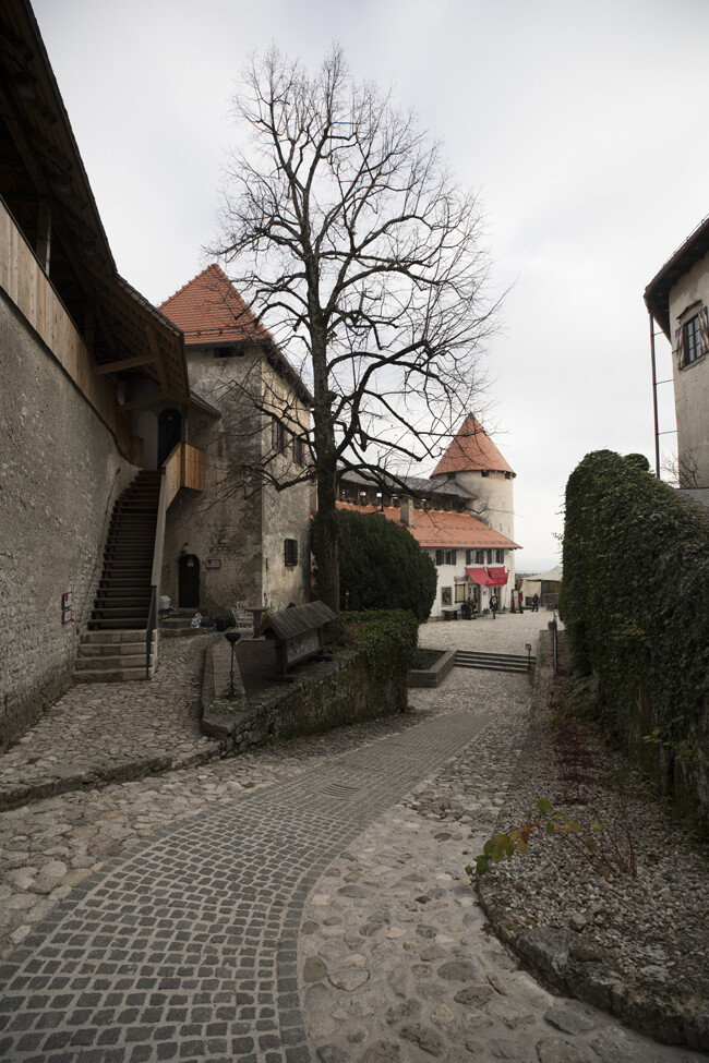 슬로베니아 최고의 관광지 블레드성 내부.