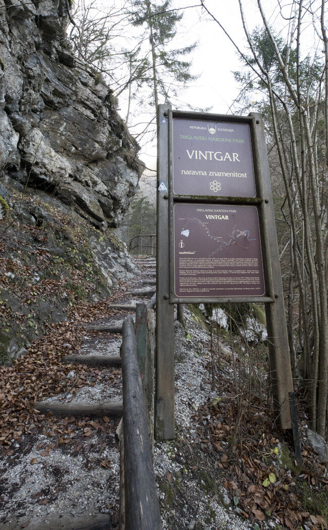 푸른 숲길이 이어지는 빈터가 계곡.