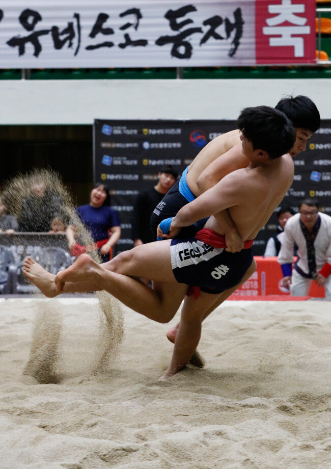 씨름이 등재되면서 한국 인류무형문화유산은 20건이 됐다. 북한은 아리랑, 김치 만들기에 이어 씨름을 세 번째 인류무형문화유산으로 등재시켰다.