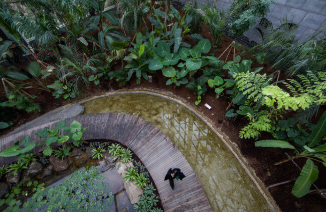 위에서 내려다본 온실 풍경. 온실 안에는 열대 도시 4개, 지중해성 기후 도시 8개의 식생이 각각 구현돼 있다. 세계 12개 도시 정원이 한자리에 모여 있는 셈이다.