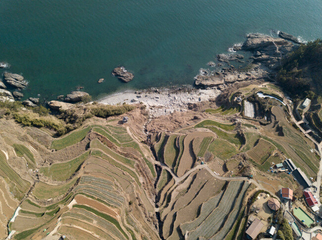 푸른 바다를 끼고 신비로운 풍광을 펼쳐내는 다랭이논.