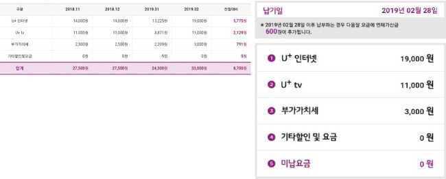 A씨의 인터넷·IP-TV 청구 요금 내역서.