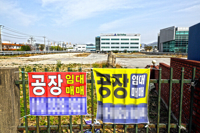 [박해윤 기자]