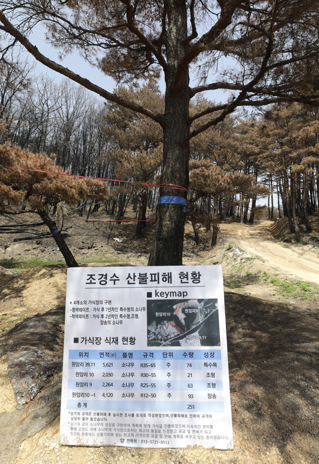조경수 화원도 화마를 피하지 못했다. 