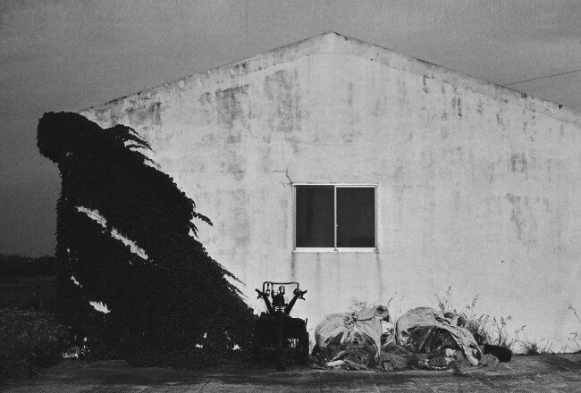 Landscape 2, Jeju 2018
