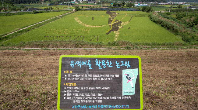 1.2ha(약 3600평)의 논을 눈에 담을 수 있도록 경사 높은 곳에 전망대가 설치돼 있다.