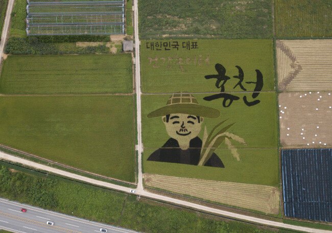 가을 추수를 앞둔 농부의 마음을 형상화 한 강원 홍천의 논 그림.