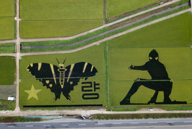 친환경을 알리는 호랑나비와 고장 이름을 익살맞게 그린 글자가 보인다. ‘논의 스파이더맨’이 웬 말이냐 할 수도 있겠으나, 전남 별량의 청소년들이 가장 좋아하는 캐릭터란다. 