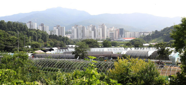 7월 16일 서울 서초구 개발제한구역 내에서 본 내곡동 보금자리 주택단지. [홍진환 동아일보 기자]