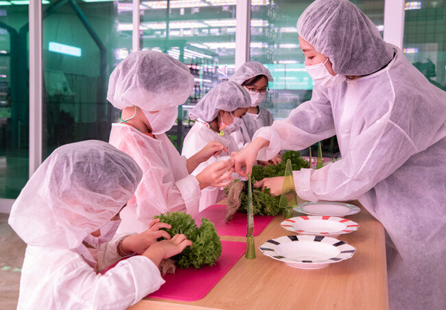 스마트팜에서 수확 체험을 하는 어린이들.