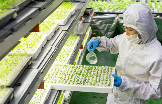 외부 물질 침투를 막기 위해 방호복을 입고 모종을 배양한다. 