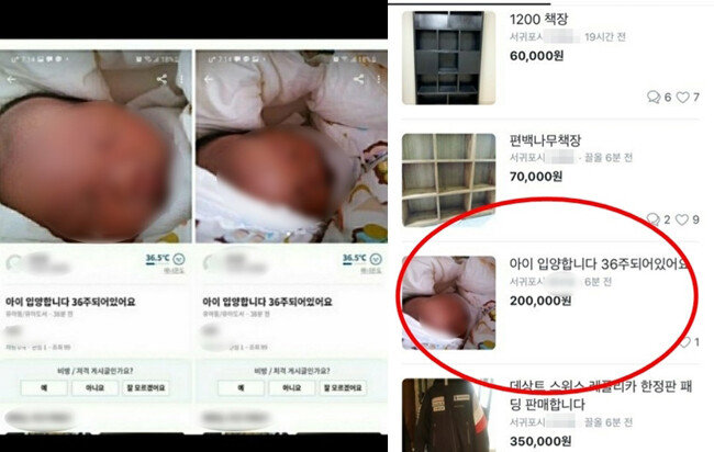 10월 16일 오후 6시 36분경 중고거래 앱 당근마켓에 올라온 글. 신생아 사진 2장과 20만 원에 입양시키겠다는 내용이 담겨 있다. 당근마켓은 이용자들의 신고를 받고 이 게시물을 비공개 처리했다. [뉴시스]