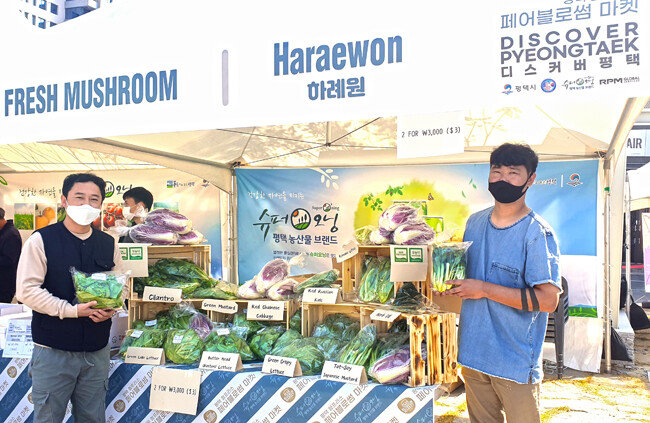 10월 31일 경기 평택시 안정리 농산물장터행사에서 직접 경작한 농산물을 홍보하는 청년 농부들.