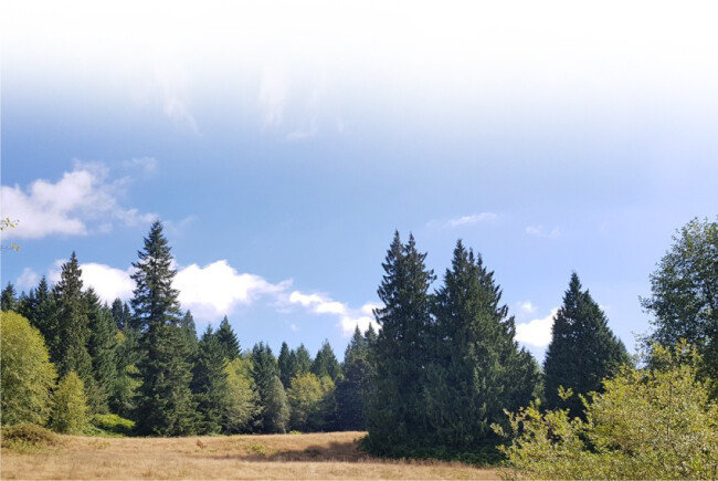 김선우·박혜윤 부부 집에서 바라다보이는 창밖 풍경. [김선우·박혜윤 제공]