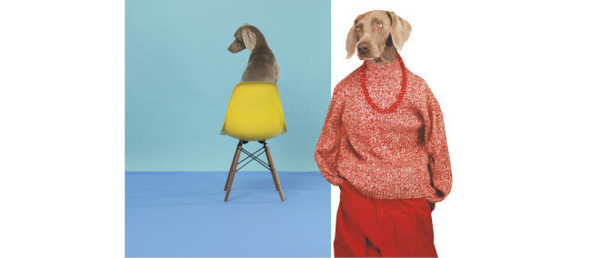 오션뷰(Ocean View, 2015)(왼쪽).캐주얼(Casual, 2002). [ⓒ William Wegman]