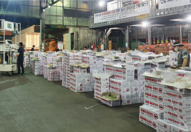 깻잎 경매가 열리기 전 중도매인들이 박스를 열어보며 출하 상품 품질을 검사하고 있다. [오홍석 기자]