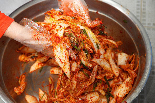 알배추에 쪽파, 홍고추 등을 썰어 넣고 양념에 쓱쓱 무쳐 먹는 겉절이. 밥 위에, 고기 위에, 이불처럼 척척 얹어 먹으면 좋다.  [GettyImage]