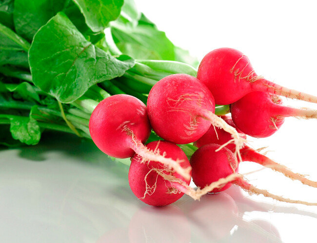  래디시는 씨를 뿌려 빨간 뿌리를 거두기까지 20일이면 족하다. 그래서 ‘20일 무’로도 불린다. [gettyimage]