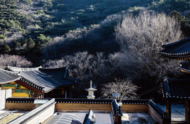 옥천사 산내 암자 청련암에서 바라본 연화산. 