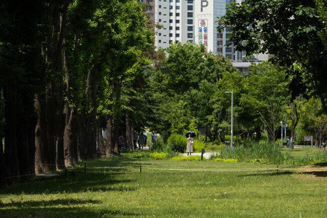 연남동 숲. 
