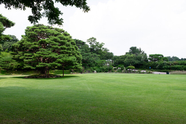 녹음으로 가득한 녹지원.