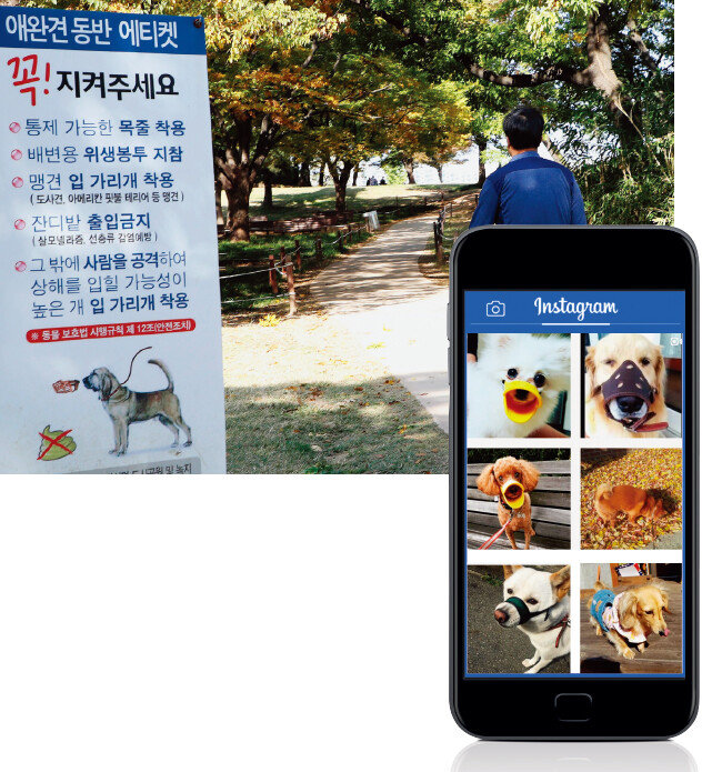 현행 동물보호법상 맹견과 사람을 공격할 가능성이 높은 개 등은 외출 시 입마개를 해야 한다(위). 반려인 사이에서 목줄, 입마개 등을 한 ‘펫티켓’ 인증샷을 소셜네트워크서비스(SNS)에 올리는 문화가 확산되고 있다. 사진은 인스타그램 ‘펫티켓’에 해시태그(#) 된 사진들. [동아DB,인스타그램 캡처]