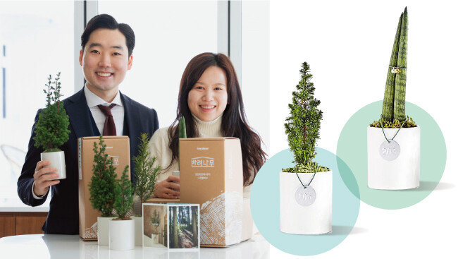 김형수 트리플래닛 대표(왼쪽)와 윤정희 콘텐츠라이터가 ‘반려나무’를 소개하고 있다. [지호영 기자, 사진 제공 · 트리플래닛]